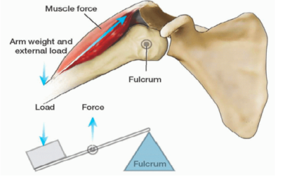 Prevention of shoulder injuries